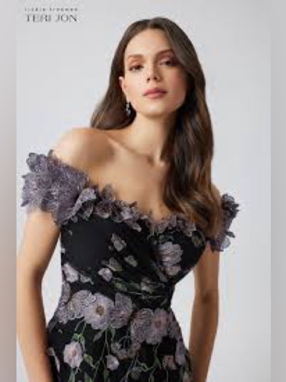 The Teri Jon by Rickie Freeman Women's Floral Appliqué Off-the-Shoulder Gown